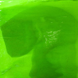 Leprechaun Y96 2