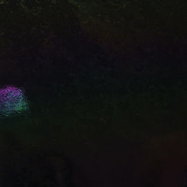 Black opal irid new