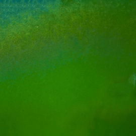 Dark green trans irid 2