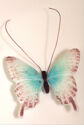 Butterfly lf107 1