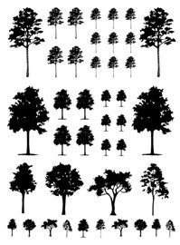Tree silhouettes   1