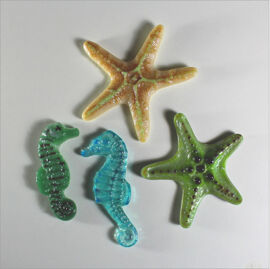 Starfish and seahorse 2