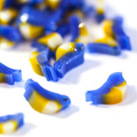 Blue birds