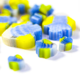 Blue and yellow fish 3
