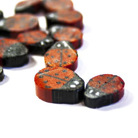 Large ladybirds