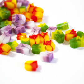 Multi Tulips 2