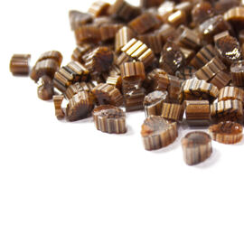 Pine cones 2