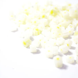 White flower 2