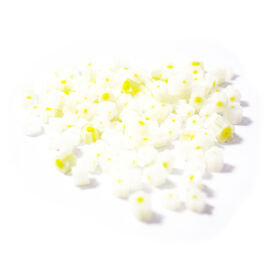 White flower