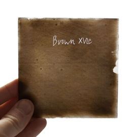 Debitus   Brown XVIe 01