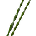Twisted Canes Green   02