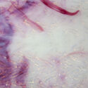 IMG 0894[1]