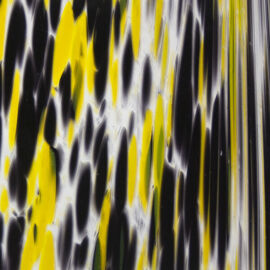 Yellowjacket   2