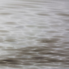 Harbor Grey   480