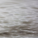 Harbor Grey   480
