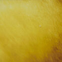 Reusche amber stain