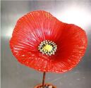 Poppy.mould.creative paradise