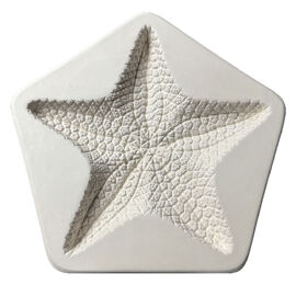 Large Starfish Casting Mould