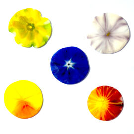 Wafers 4