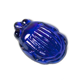 Flatback Beetle Jewel