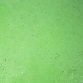 Luna - Medium Green Cathedral