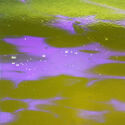 Close up 3