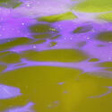 Close up 4