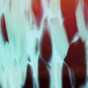 Close up 4