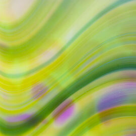 Close up 4