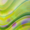 Close up 4