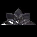 Lotus Single