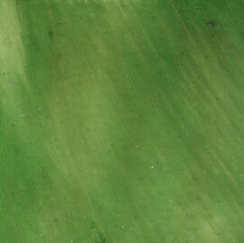 Green Transparent - Dove Screen Low Fire Enamel