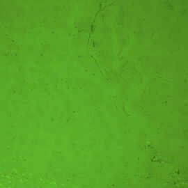 Luna - Green Cathedral