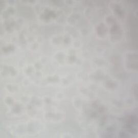 Luna - White Ring Mottle