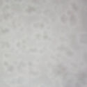 L890 White & Clear Ring Mottle   02
