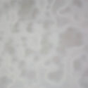 L890 White & Clear Ring Mottle   01