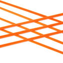 Persimmon Opal Noodles