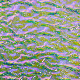 Green/Magenta/Blue on Granite Ripple Clear - Oceanside 96 Dichroic