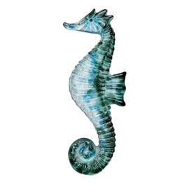 LF270 Medium SeahorseExample