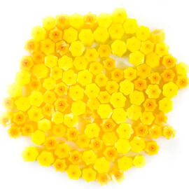 Daff2