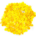 Daff2