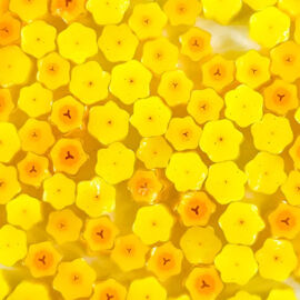 Daff1