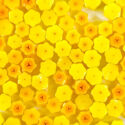 Daff1