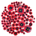 Redpoppy