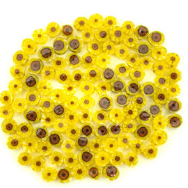 Sunflower1