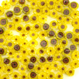 Sunflower2