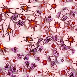 Blossoms1