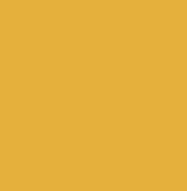 Reusche Orange Yellow Blendable Bending Colour
