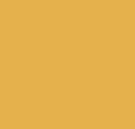 GOld Yellow Low Lead