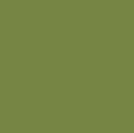 Reusche Chrome Green Blendable Bending Colour - Low Lead Release